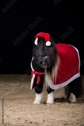 Fototapeta Naklejka Na Ścianę i Meble -  Pony Weihnachtsmann