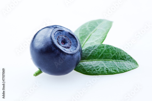 Blueberry with leaves isolated on white