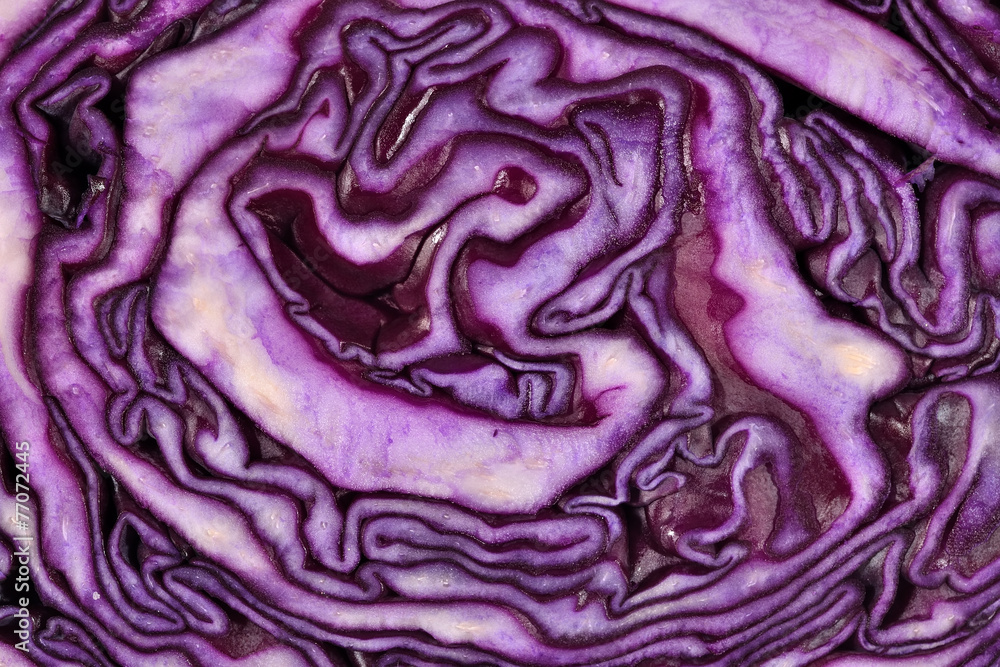 Sliced red cabbage close up Sliced red cabbage close up