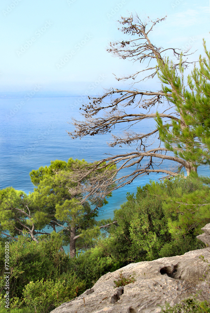 Wild beautiful nature and sea in Croatia Wild beautiful nature and sea in Croatia