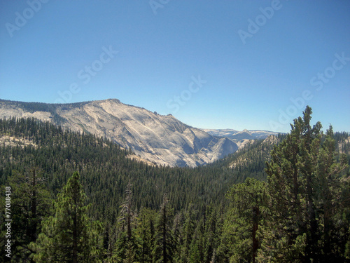 Forested Mountain Valley