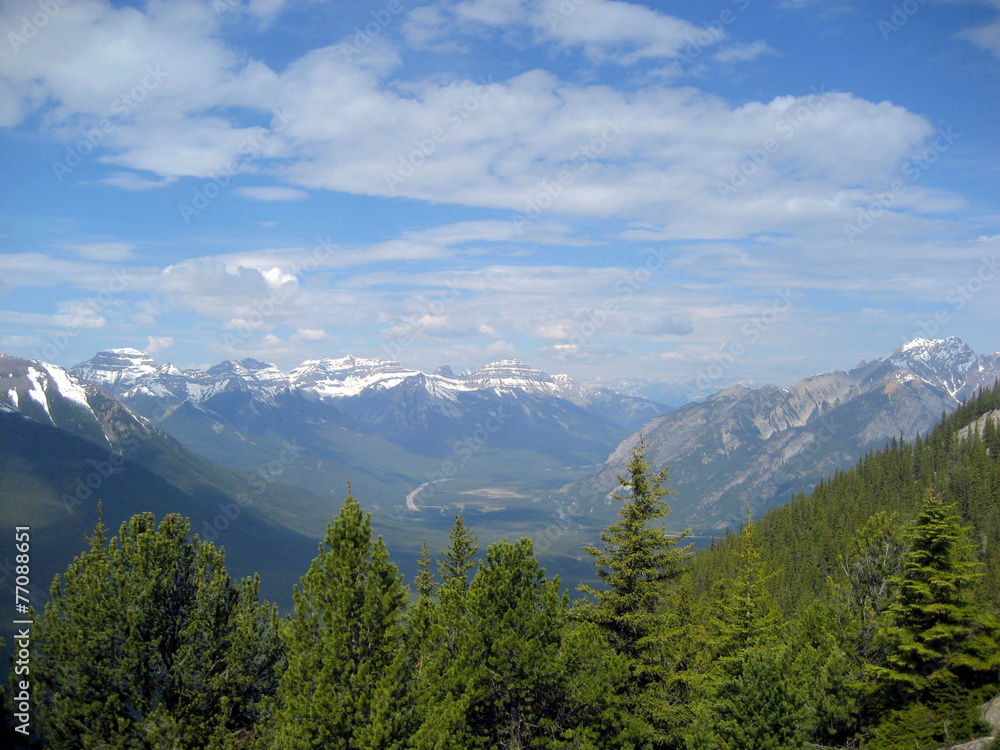 Banff Vista