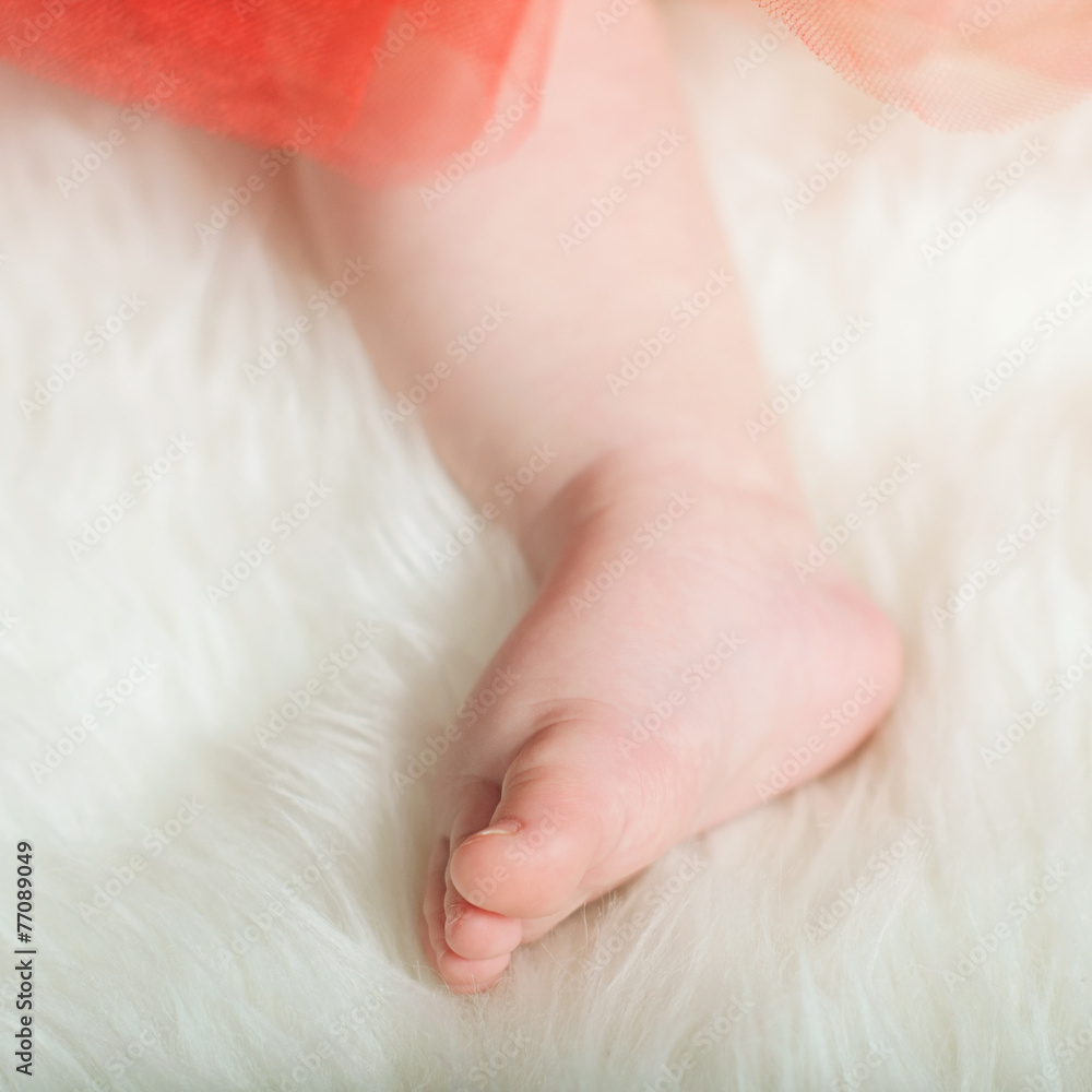 Close Up of Newborn Baby Feet Close Up of Newborn Baby Feet