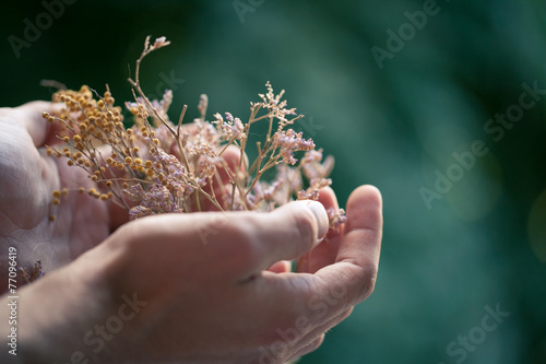flowers male hand