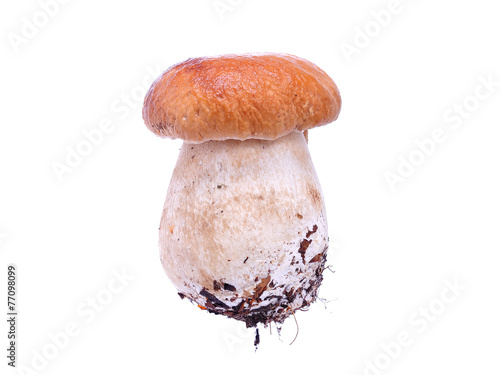 White mushrooms
