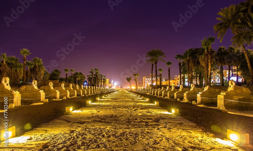 Alley of the Sphinxes in Luxor - Egypt © Leonid Andronov