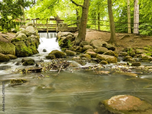 waterfall in woods green forest. stream in oliva park gdansk. photo