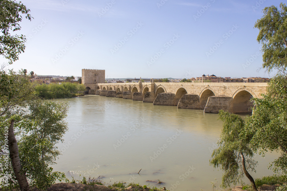 Roman Bridge and Tower of Calahorra in Cordoba - Spain