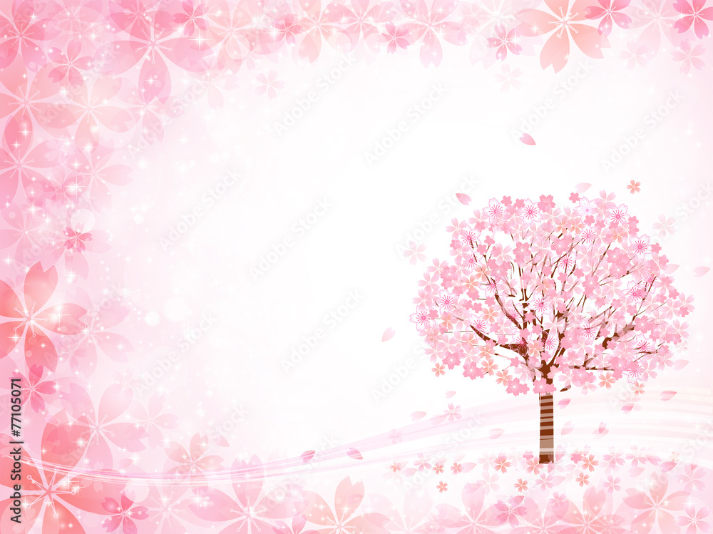 Fototapeta premium 桜 花 背景