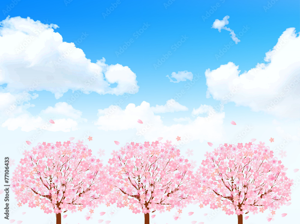 桜 花 背景 桜 花 背景