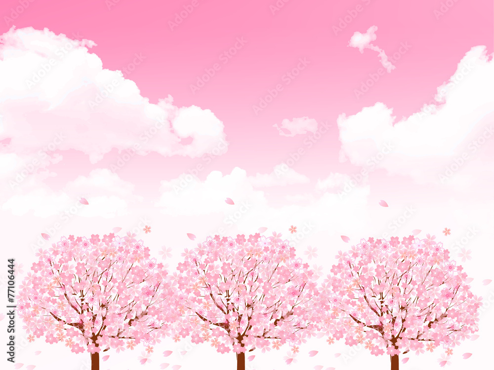 桜 花 背景 桜 花 背景