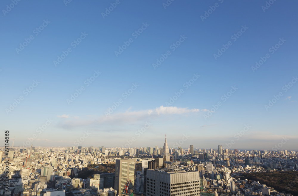 新宿高層ビルから望む夕陽を浴びる東京都心全景