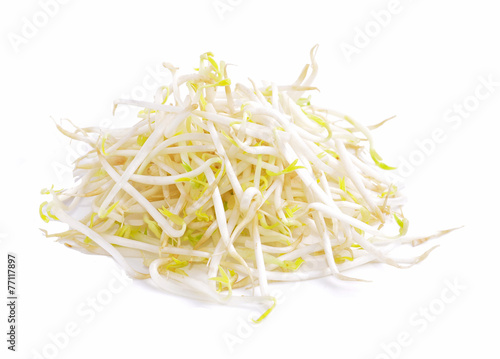 Bean sprouts with white background