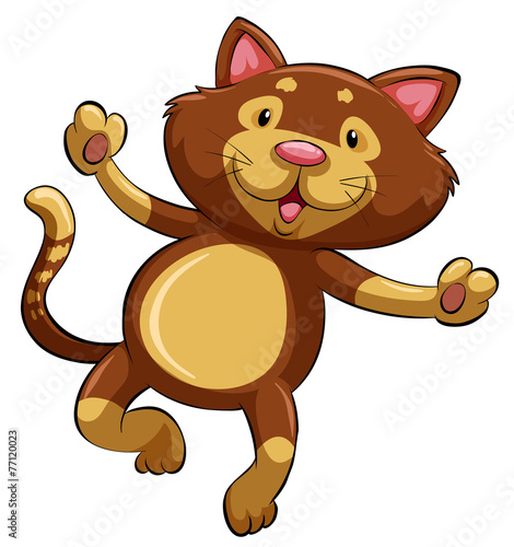 A kitten