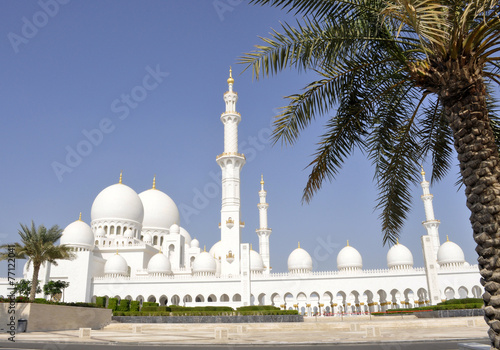 Emirati Arabi Uniti. Abu Dhabi. La grande moschea Sheikh Zayed photo