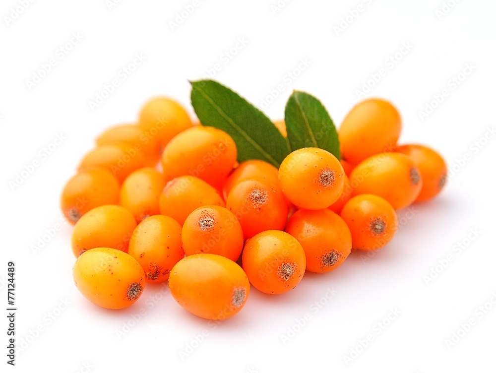 Sea buckthorn berries Sea buckthorn berries