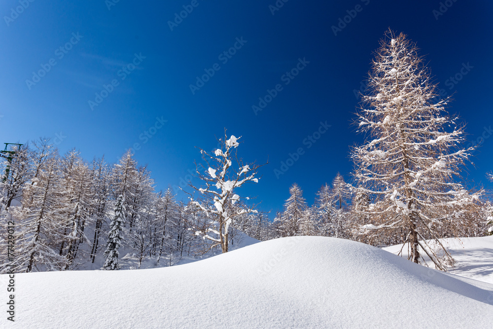 Obraz premium Winter landscape
