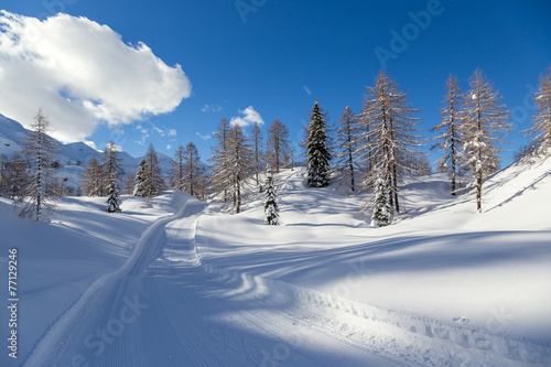 Winter landscape © Kavita