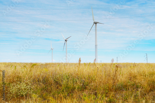 Wind turbines on green meadow