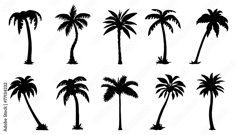 Obraz premium silhouttes palmowe