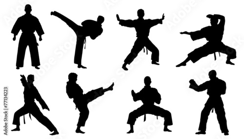 karate silhouettes photo
