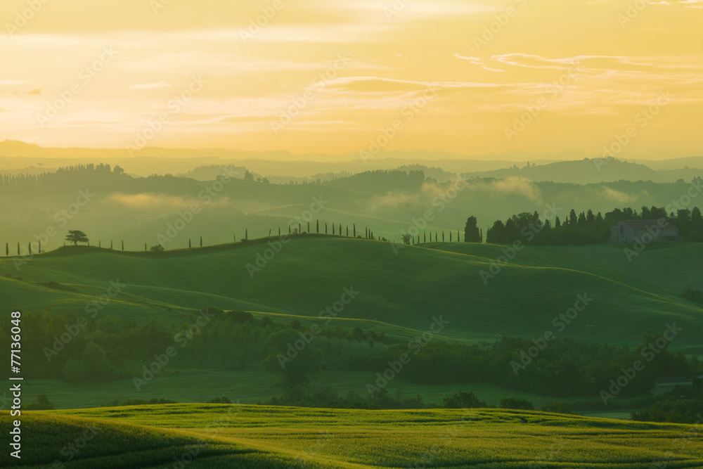 Beautiful rural landscape of Tuscany early in morning  - obrazy, fototapety, plakaty 