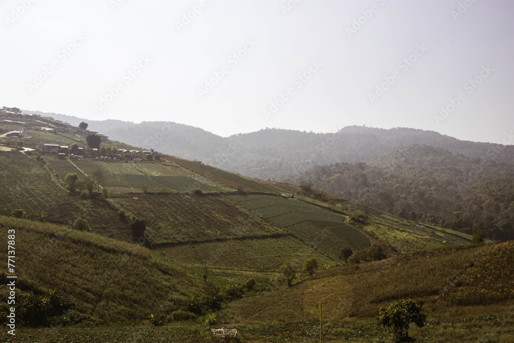 Fototapeta premium Mountain villages Of Phu Tabberk Phetchabun Thailand.