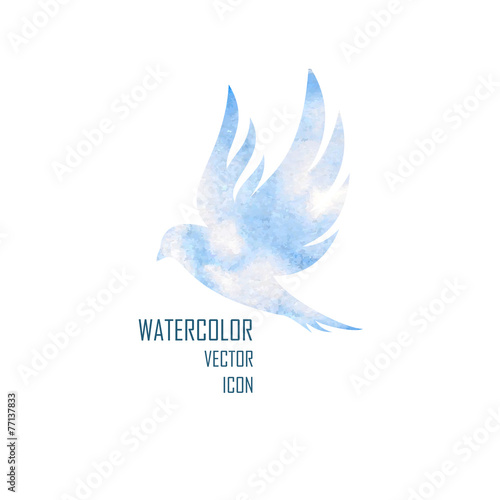 bird isolated with expanded wings