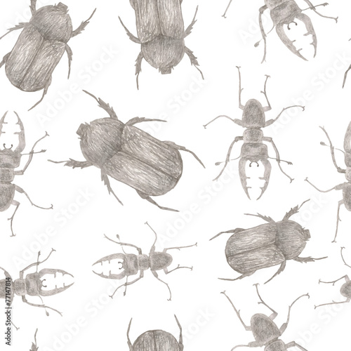 seamless pattern with pencil sketches beetles and insects