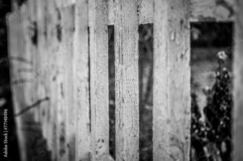 Wood fence black and white