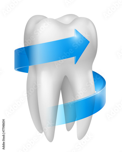 Dent vectorielle 3