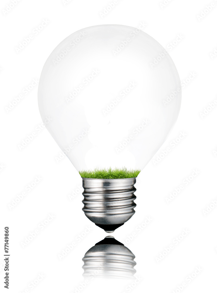Grass Growing Inside Light Bulb Isolated Grass Growing Inside Light Bulb Isolated