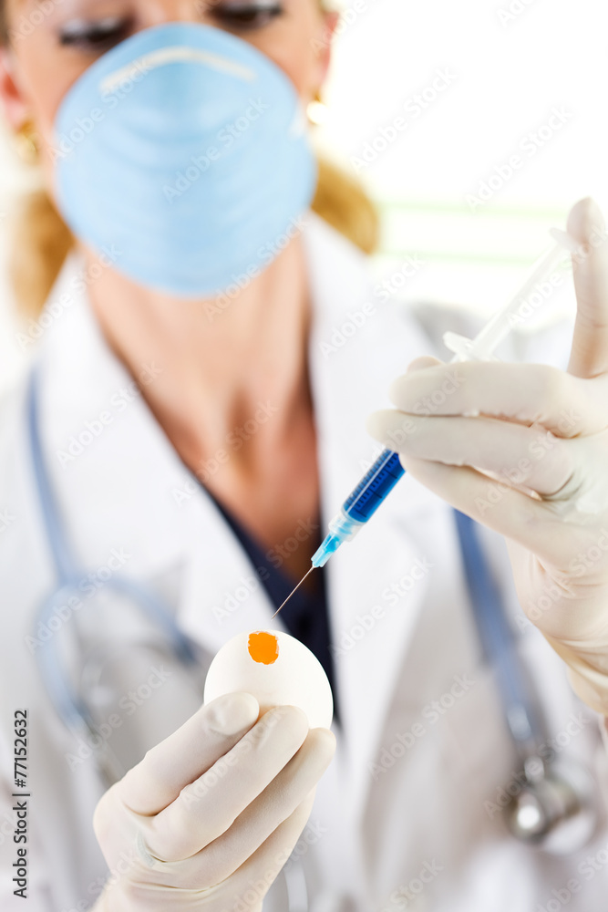 Flu: Ready To Put Virus Into Chicken Yolk Flu: Ready To Put Virus Into Chicken Yolk