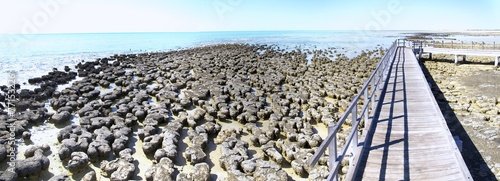 Stromatolites - Shark Bay World Heritage Area photo