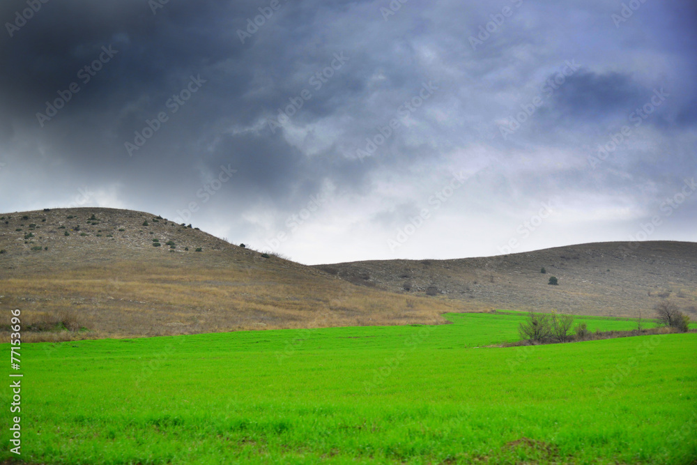 Fototapeta premium Green meadow landscape
