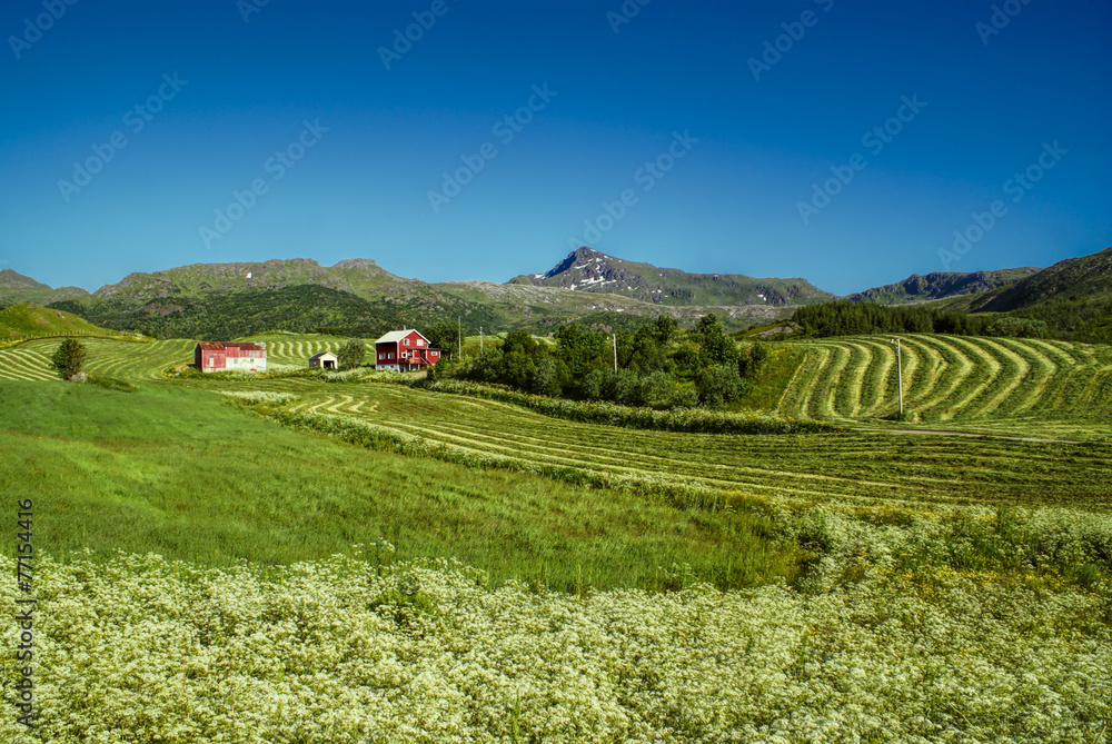 farm in Norway