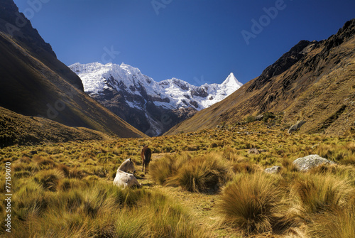 Peruvian Andes