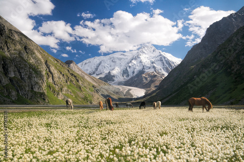 Kyrgyzstan near Karakol photo