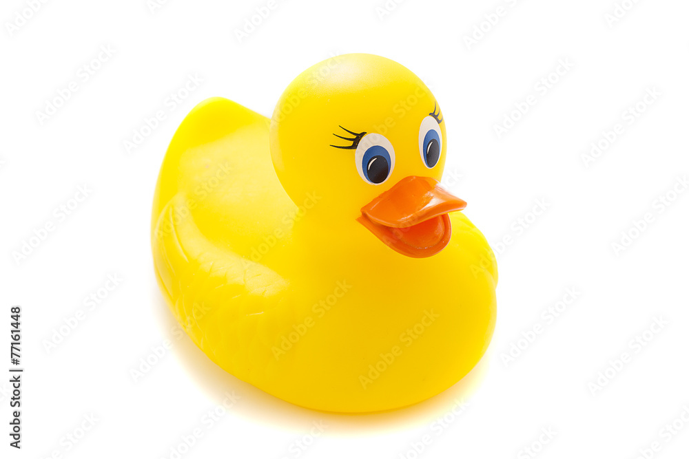 Yellow rubber duck on White Background Yellow rubber duck on White Background