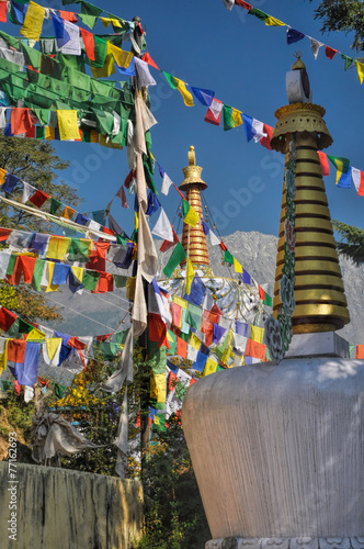 Buddhist prayer flags in  Dharamshala, India photo