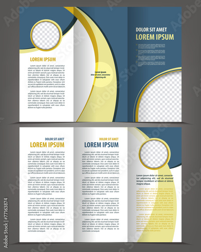 Vector empty trifold brochure design print template