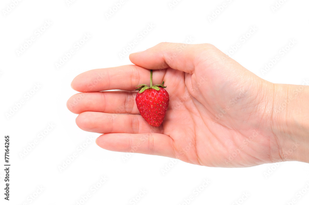 hands holding strawberry isolated on white hands holding strawberry isolated on white
