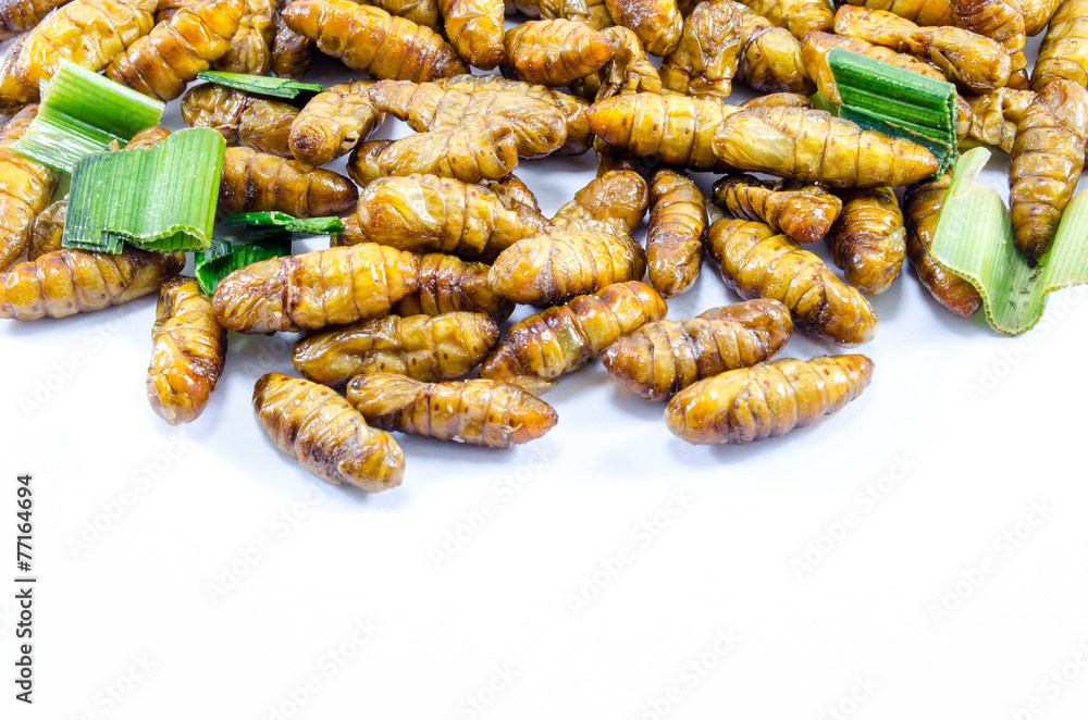 Fried Silk Worms Fried Silk Worms