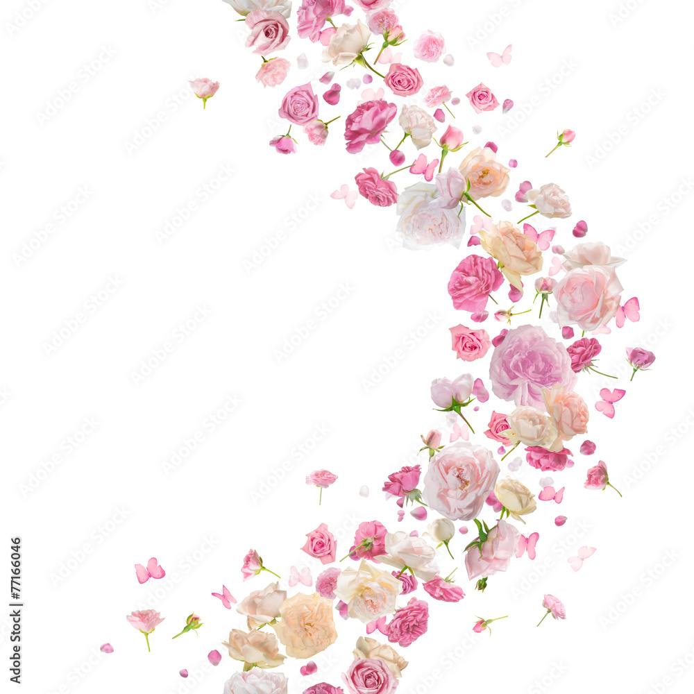 Repeatable Pink Roses and Butterlies Curve