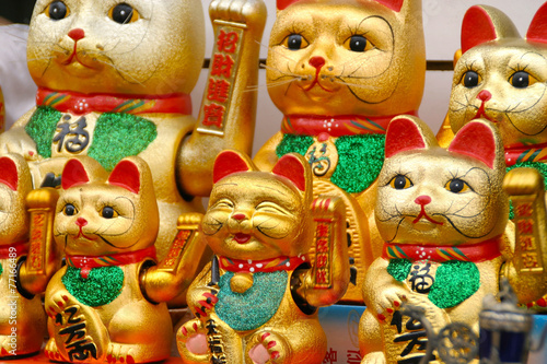 cat Golden lucky cat waving left paw background