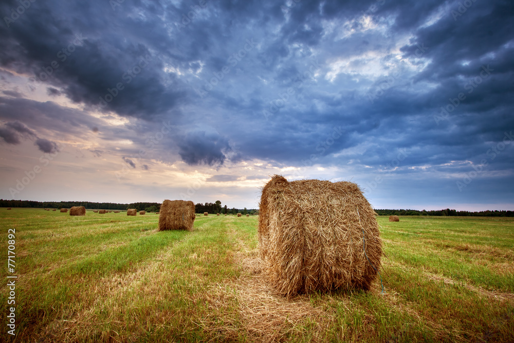 Fototapeta premium Hay bales at sunset