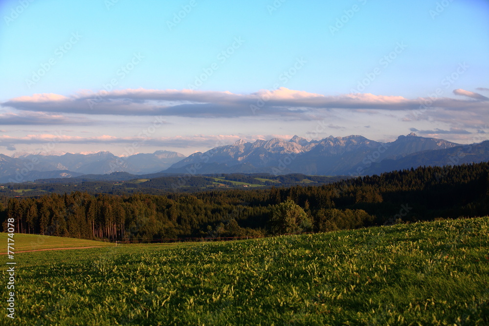 Grüne Wiesen und Wälder im Voralpenland