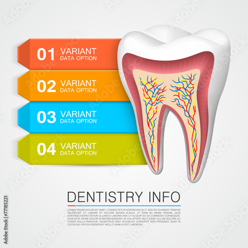 Dentistry info medical art