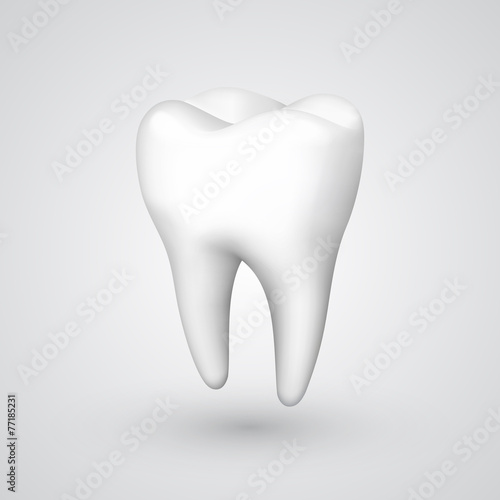 Vector tooth