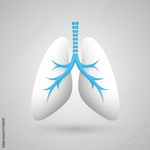 Human lungs medical art creative photo